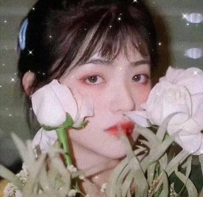 对我青春的呼唤 海报